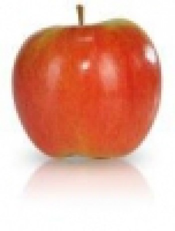 thumb jablkoszampion