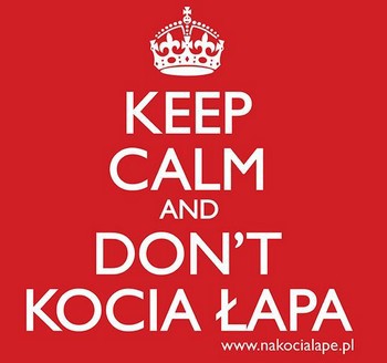 keep calm and dont kocia lapa