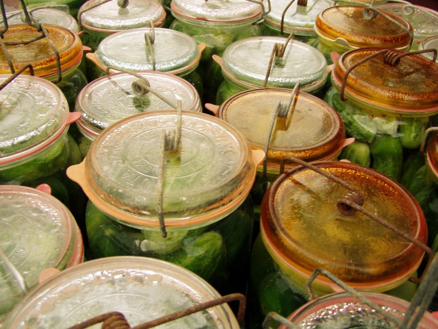 cucumber-jar-ogóry