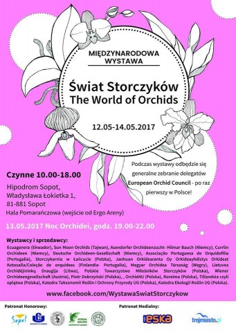 wystawa storczyków