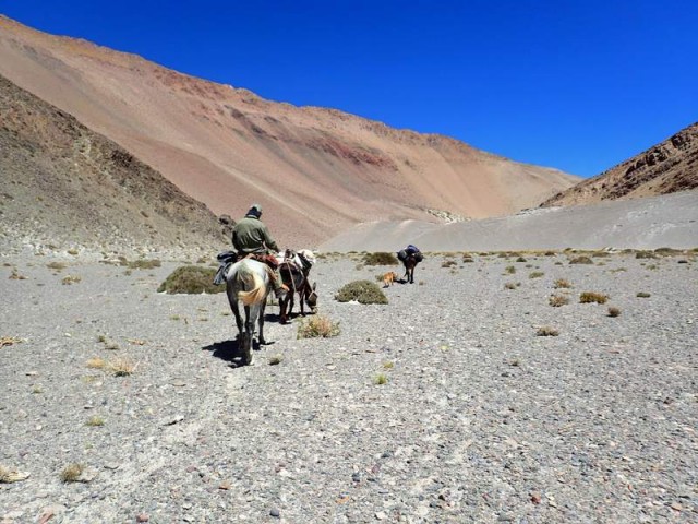 Nevado Ojos del Salado4