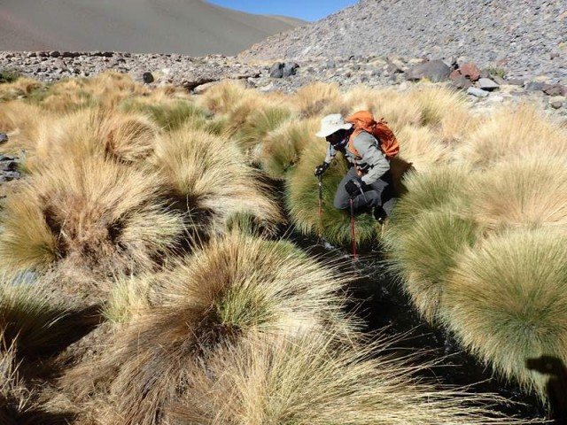 Nevado Ojos del Salado6