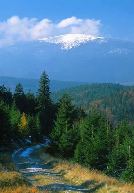 Śnieżnik 1425 m n.p.m. stanowi drugi po Śnieżce 1602 m n.p.m. najwyższy szczyt polskich Sudetów