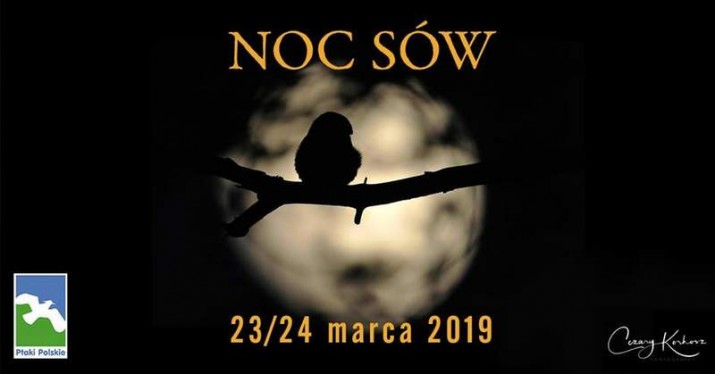 noc sów plakat