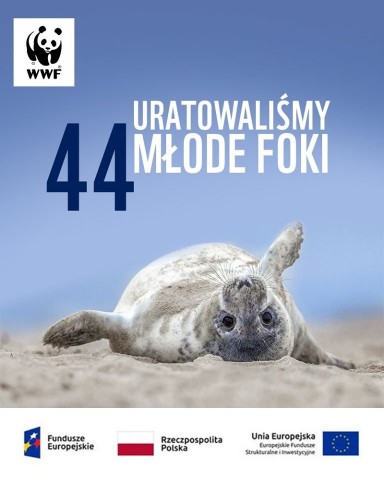 WWF foki