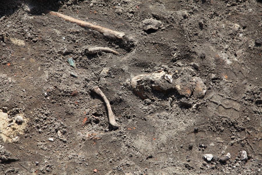 szkielety-slupsk-wykopalisko2-2804