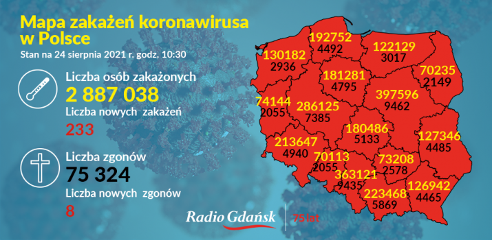koronawirus mapa 24.08
