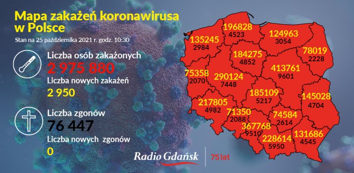 koronawirus mapa 25.10