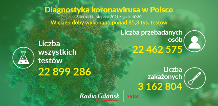 koronawirus testy 11.11