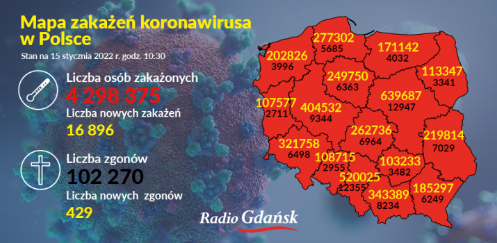 koronawirus mapa 15.01