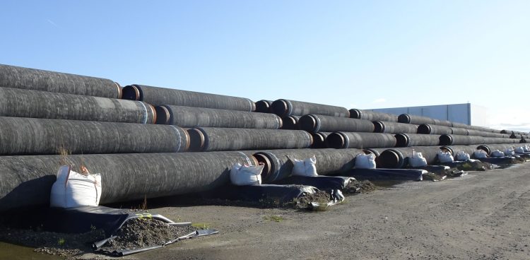 (Fot. wikimedia commons)