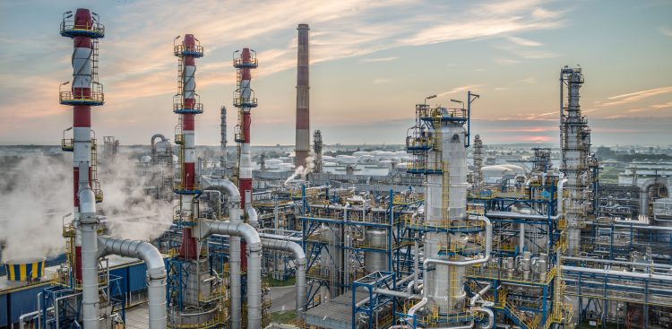 (Fot. Wojtek Jakubowski/Fotokombinat/KFP)