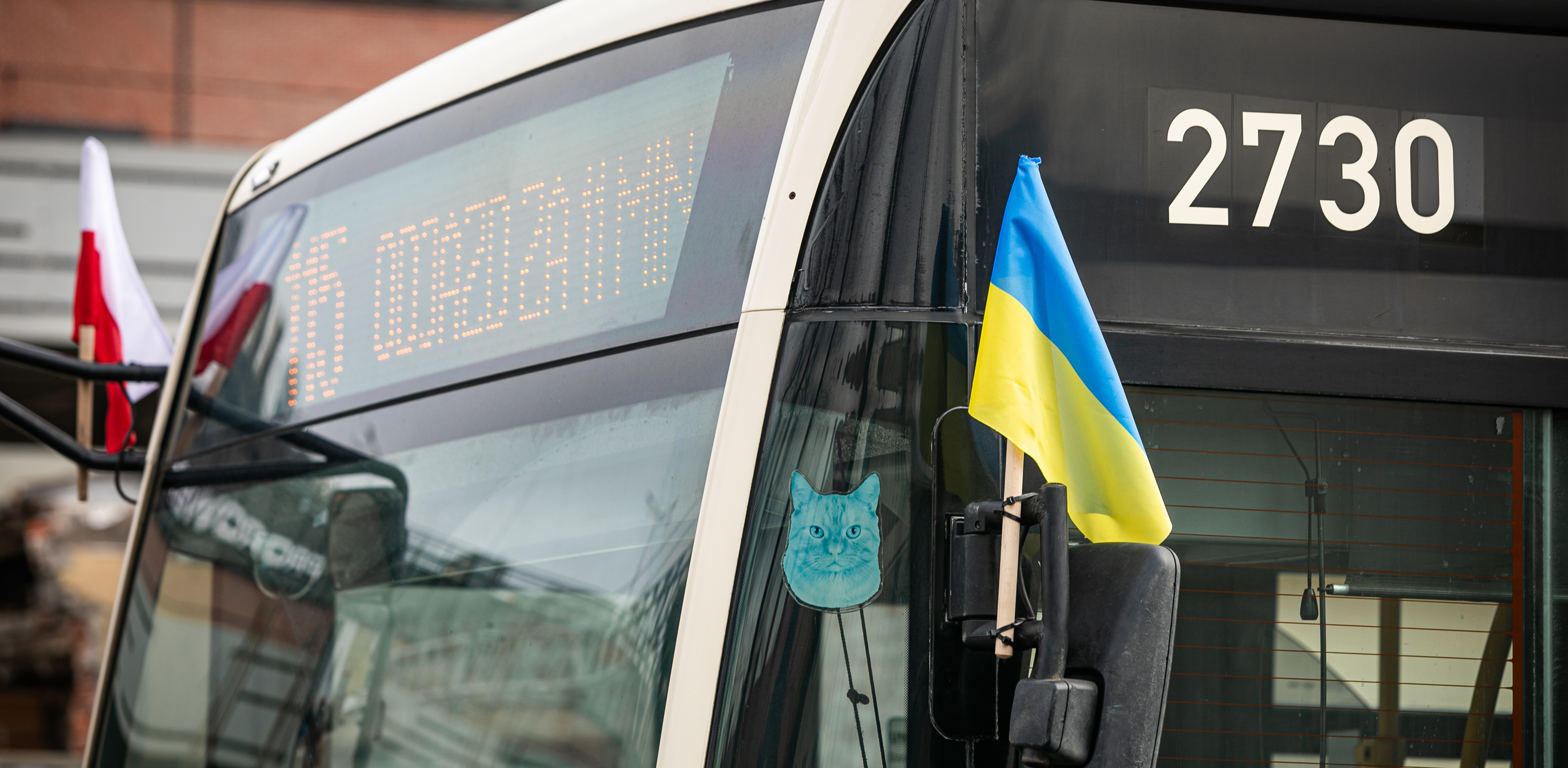 (fot. Krzysztof Mystkowski / KFP)