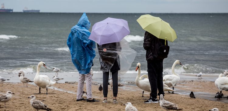 (fot. Agencja KFP/Anna Rezulak)