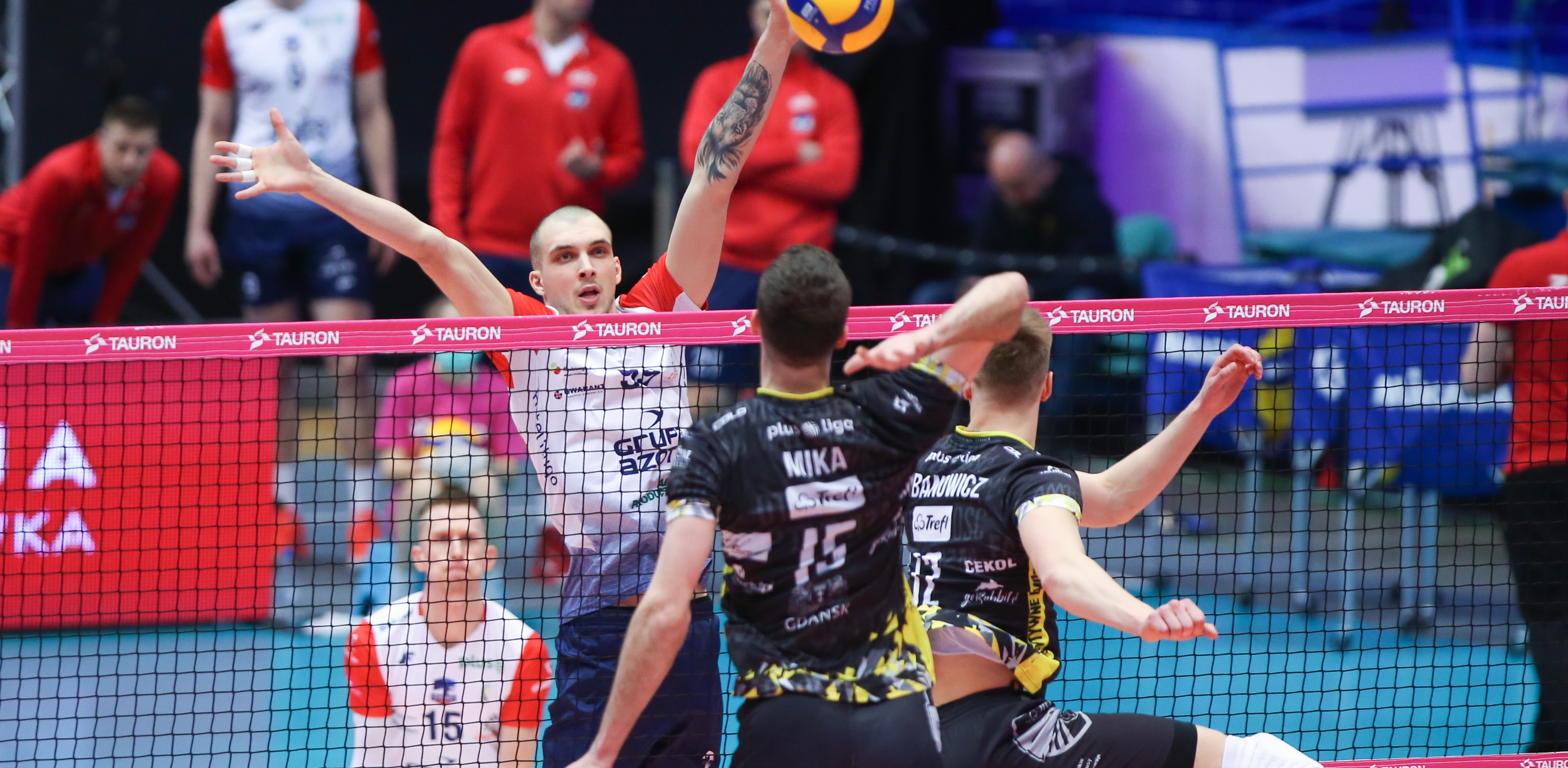 (Fot. 400mm.pl/Anna Klepaczko)