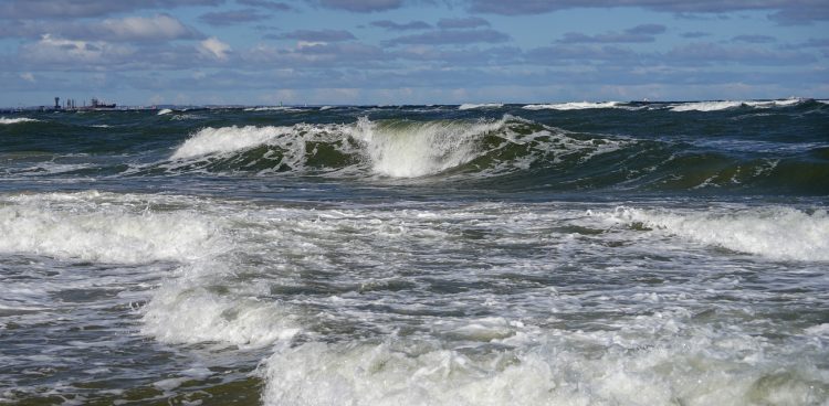 (fot. KFP/Paweł Marcinko)