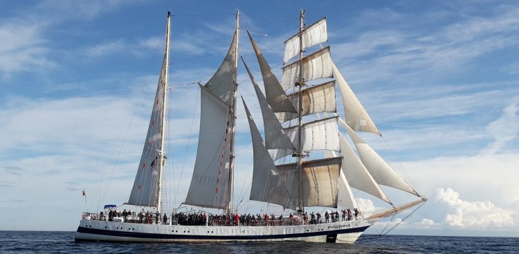 (fot. Facebook/STS Pogoria - STAP)