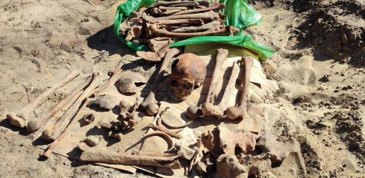 (fot. Sławomir Szczygielski/Gdansk.pl)