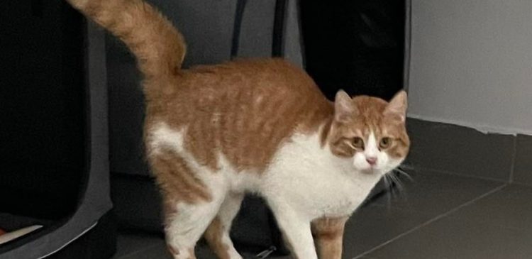 (Fot. Radio Gdańsk/Joanna Merecka-Łotysz)