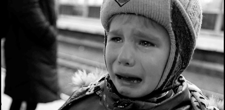 (Fot. Robert Kwiatek)