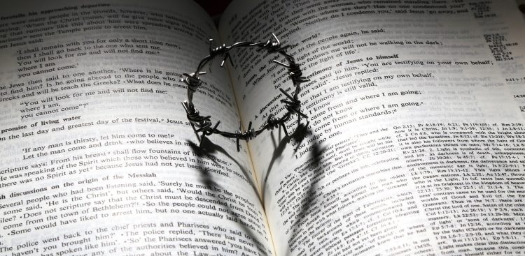 Zdjęcie ilustracyjne (Fot. Pixabay)