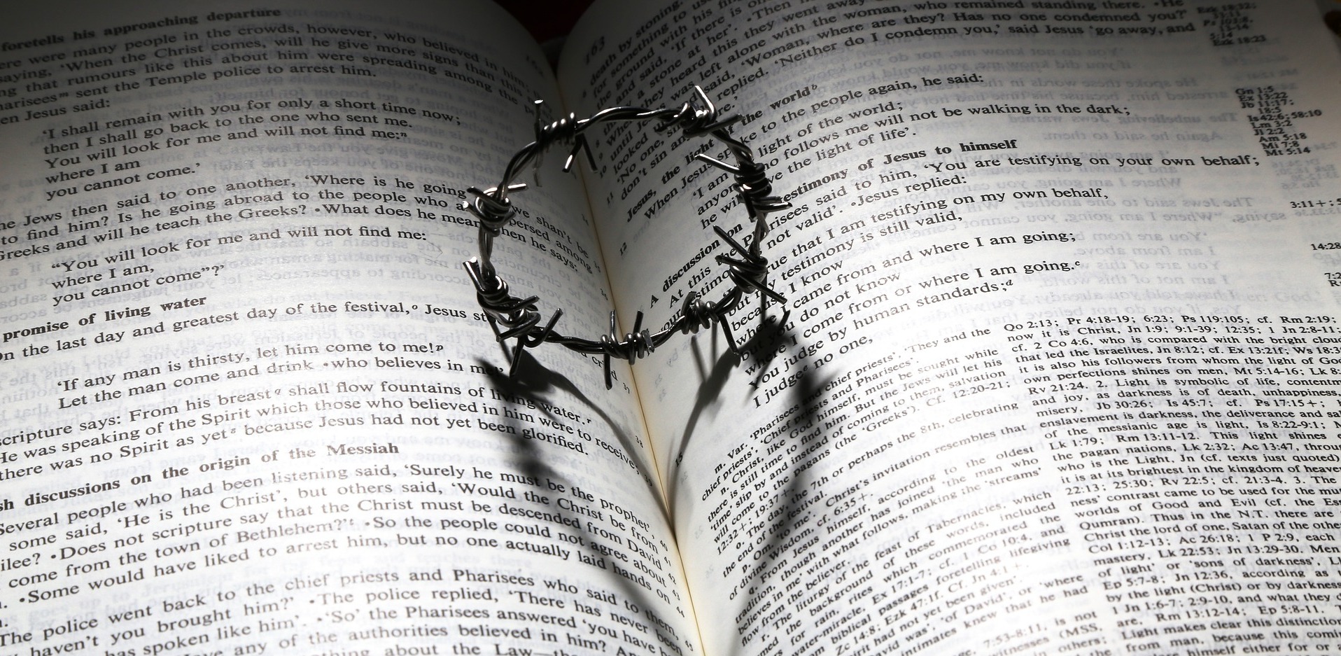 Zdjęcie ilustracyjne (Fot. Pixabay)