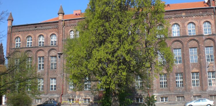 (Fot. wikimedia commons)