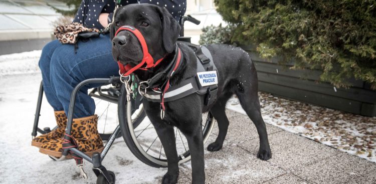 (Fot. Kamil Złoch/gdynia.pl)