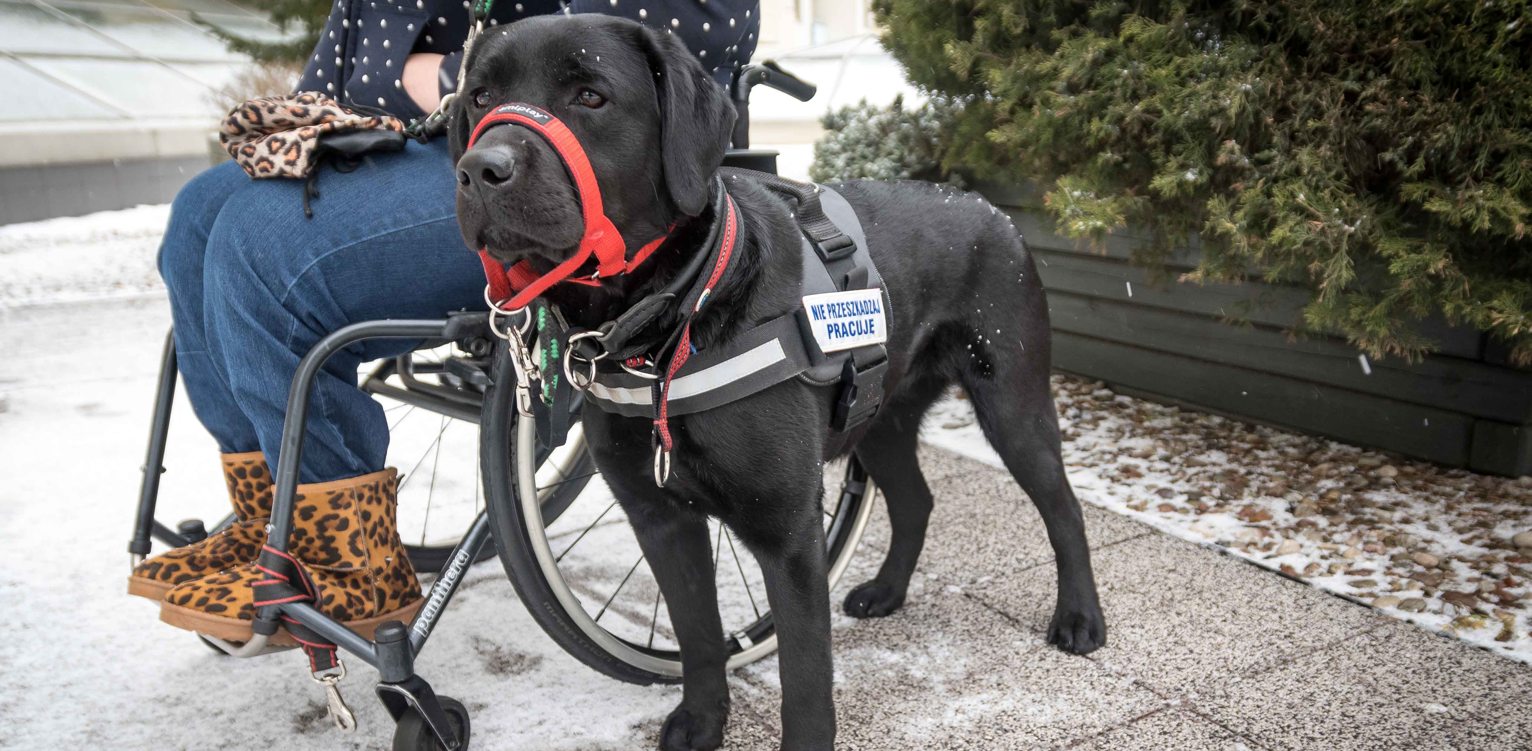 (Fot. Kamil Złoch/gdynia.pl)