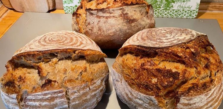 (Fot. Katarzyna Sasiuk)