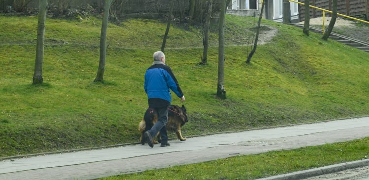 (Fot. Anna Bobrowska / KFP)