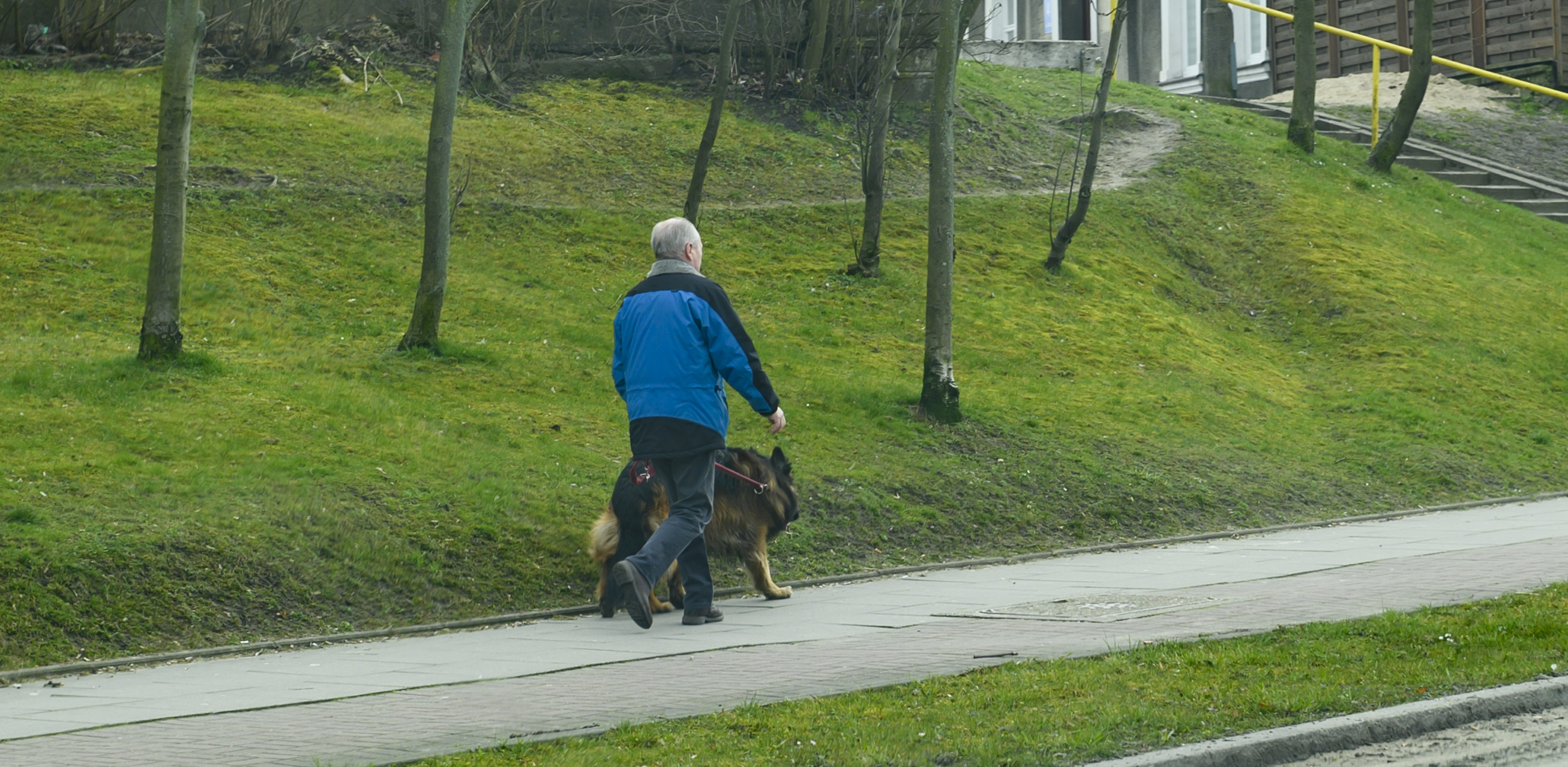 (Fot. Anna Bobrowska / KFP)