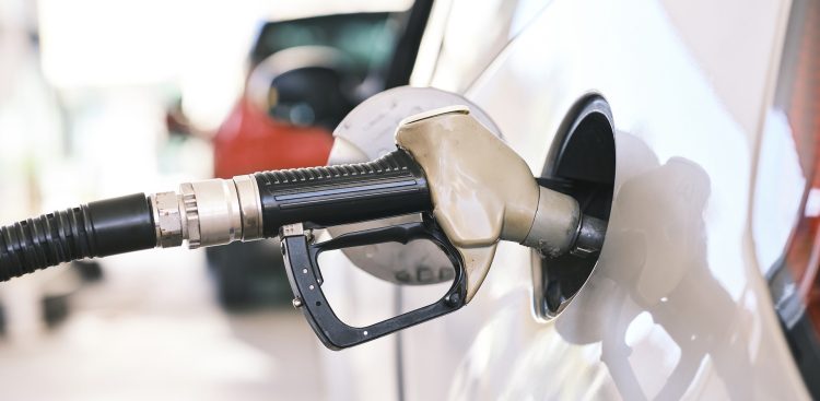 Zdjęcie ilustracyjne (Fot. Pixabay)