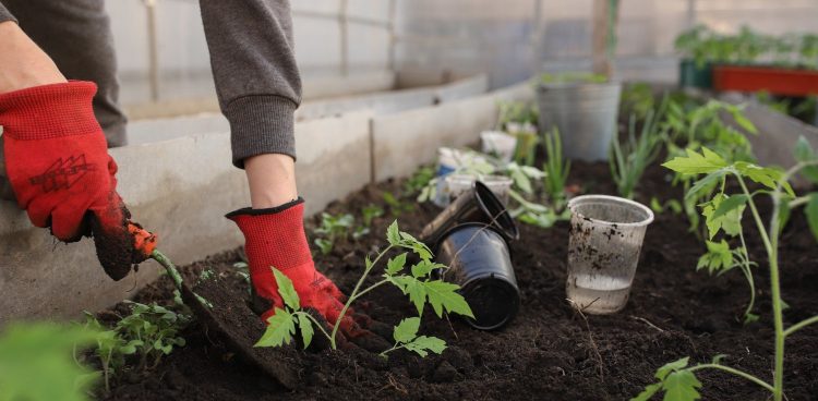 Zdjęcie ilustracyjne (Fot. pixabay)