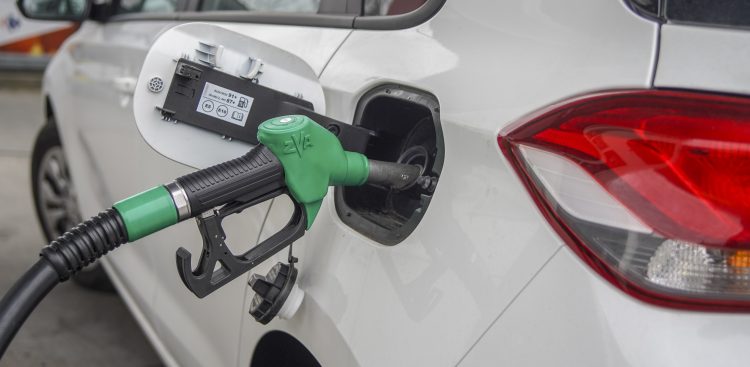 (fot. Agencja KFP/Paweł Marcinko)