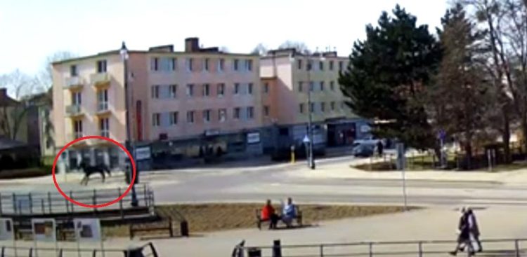 (fot. Screenshot Youtube/
TVREGIONALNA24.PL REGIONALNA TELEWIZJA INTERNETOWA)