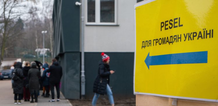 (fot. Anna Rezulak / KFP)