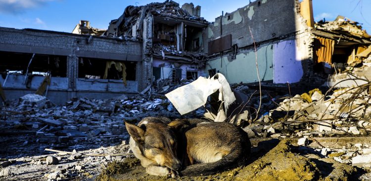 (fot. PAP/EPA/Miguel A. Lopes)