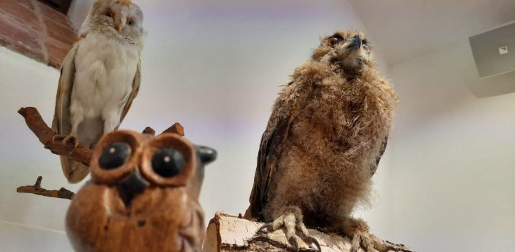 (Fot. Radio Gdańsk/Kinga Siwiec)