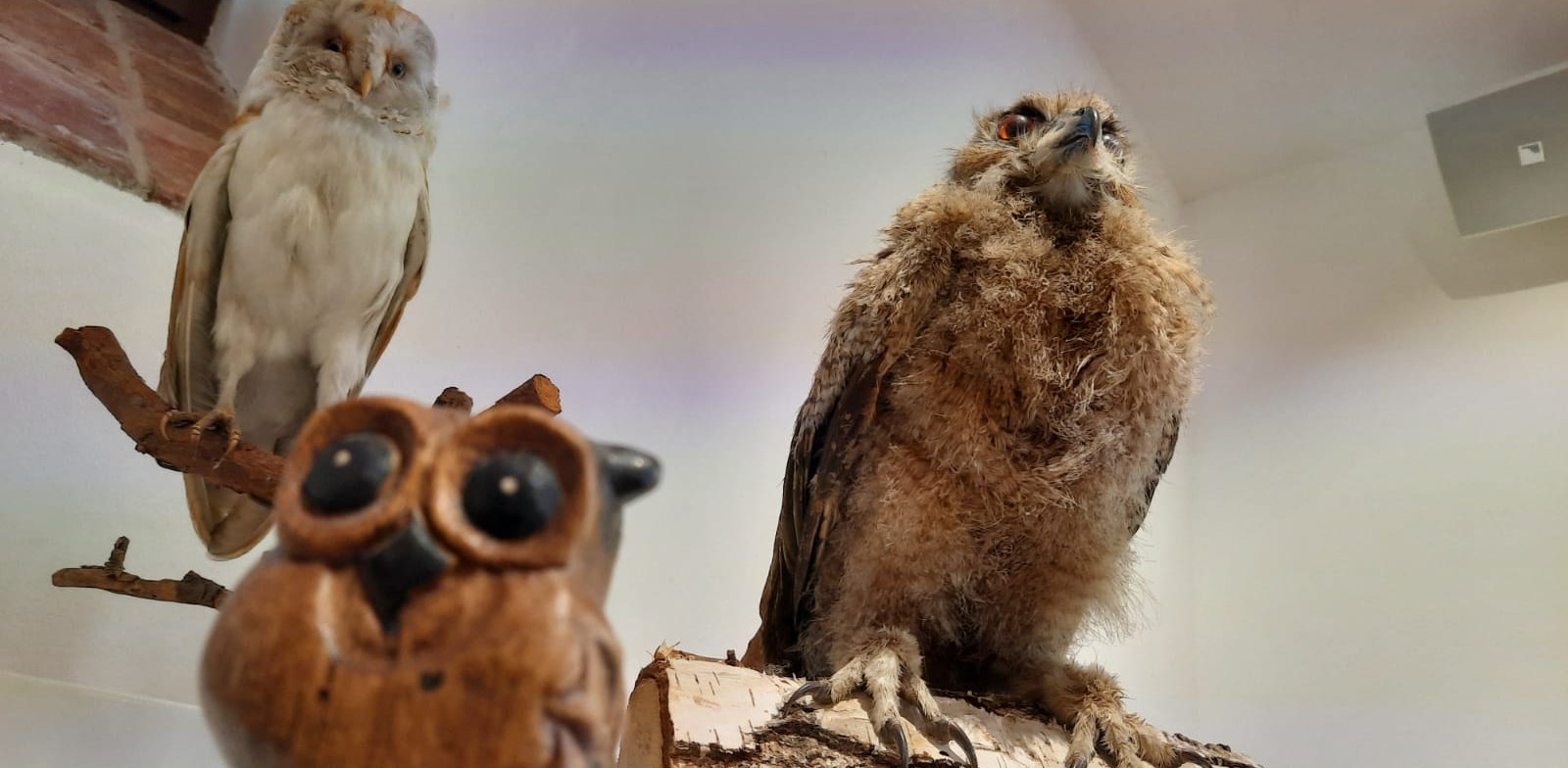 (Fot. Radio Gdańsk/Kinga Siwiec)