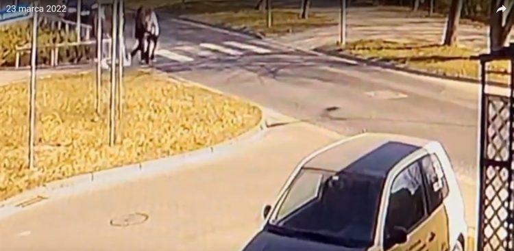 Fot. Kadr youtube / KPP Słupsk