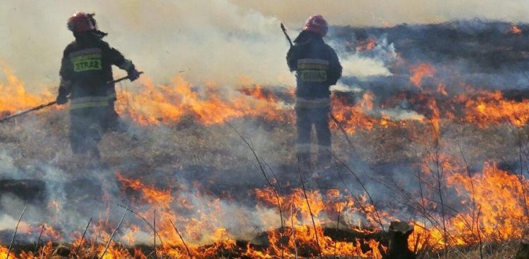 (Fot. Mat. pras. PSP)