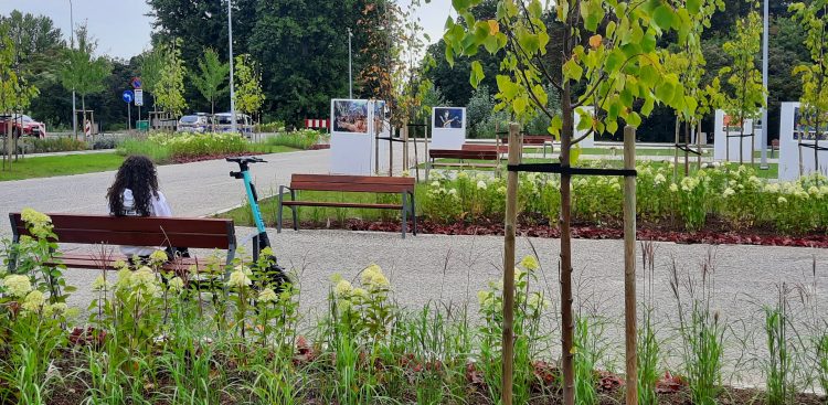 (Fot. Radio Gdańsk/Marcin Lange)