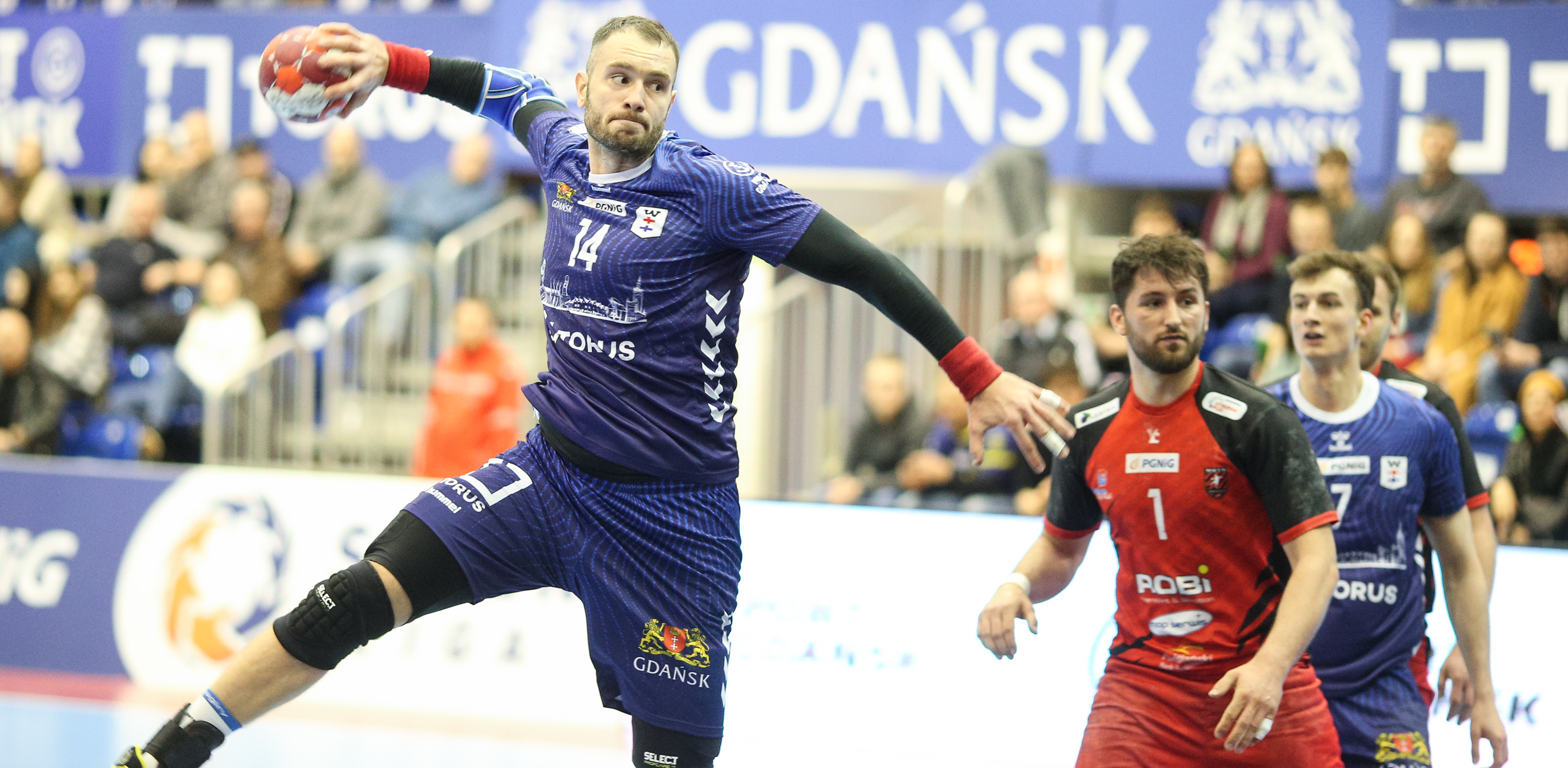 (Fot. Grzegorz Jedrzejewski / 400mm.pl)