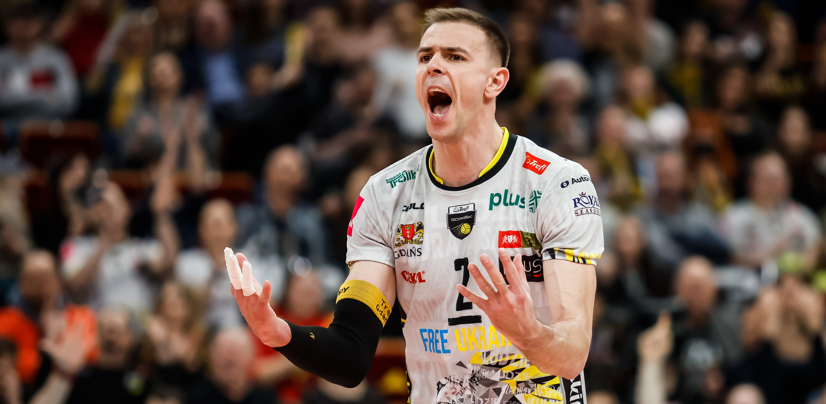 (Fot. 400mm.pl/Wojciech Figurski)