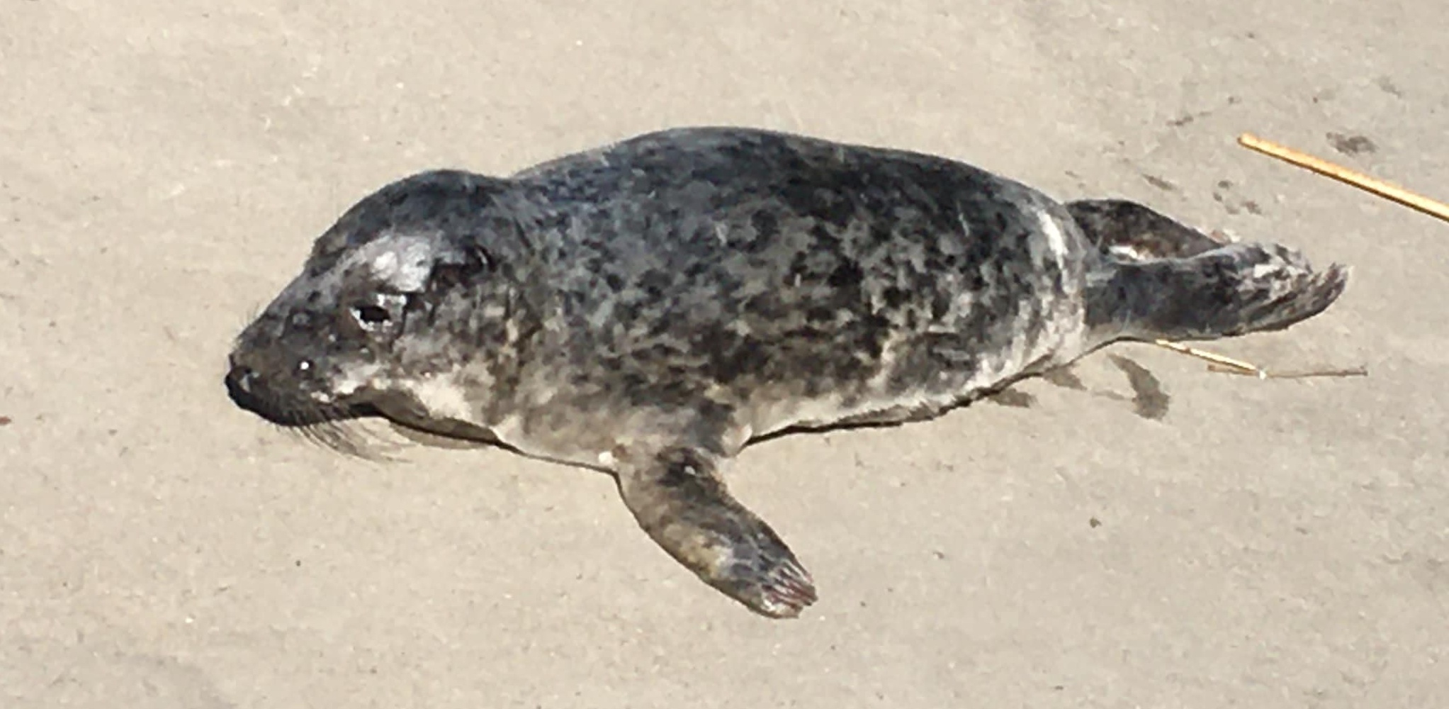 (Fot. Facebook.com/Bartłomiej Stroiński)