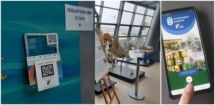 (Fot. Radio Gdańsk)