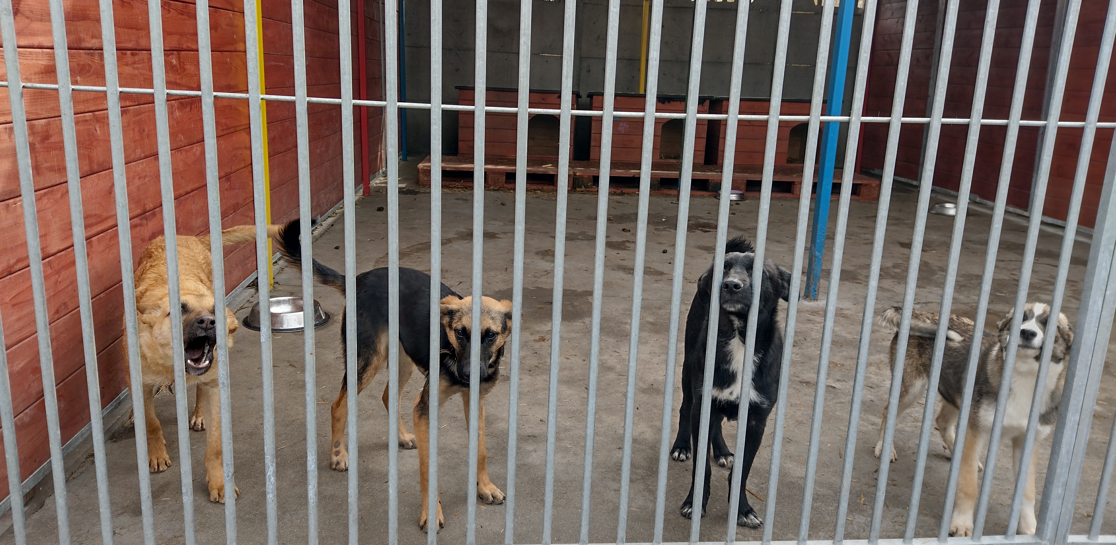 (Fot. Radio Gdańsk/Hanna Brzezińska)