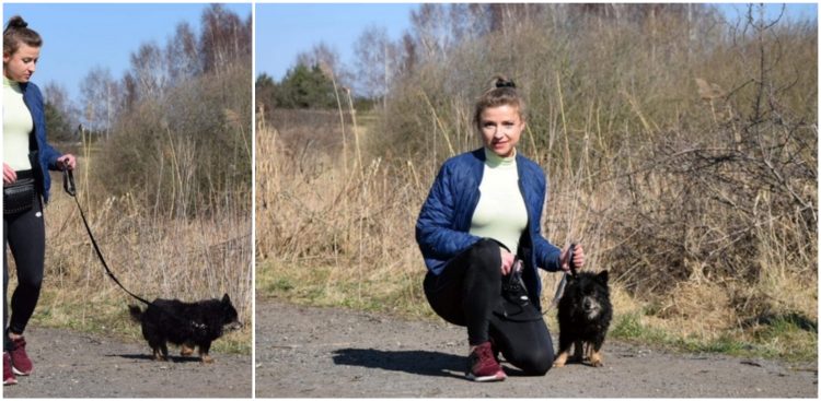 (Fot. słupskie schronisko dla zwierząt)