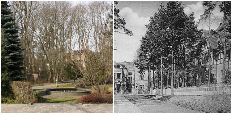 (Fot. UM Krynica Morska)